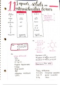 Chapter 11: Liquids, solids and intermolecular forces