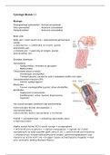 Fysiologie (Myologie - energiesystemen - neuromusculair - energie - metabolisme - homeostase)