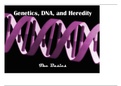 Genetics, DNA and Heredity presentation summary notes.