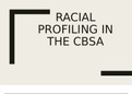 Racial Profiling Word Doc.
