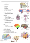 Medische kennisgebieden periode 3: zenuwstelsel, zintuigen, immunologie, kanker en voeding