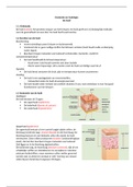 Anatomie en fysiologie de huid