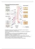 Farmacología en el Sistema Nervioso Autónomo