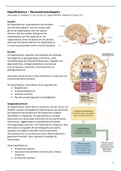 NEUROWETENSCHAPPEN - Hypothalamus - Samenvatting - 2018/2019