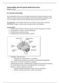 Samenvatting How the special needs brain learns