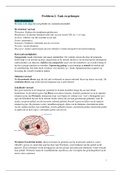 Blok 3.6 Neuropsychology - Probleem 2 (Neuropsychologie, schooljaar 2018/2019)