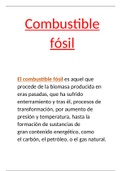 Combustible fosil