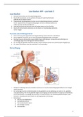 AFP ademhaling, afweer en hormonen