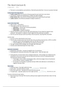 The Heart