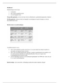 Semester 1 Commerciële Economie (Leisure Management)