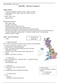 GCSE History A* study guide - OCR : The Norman Conquest