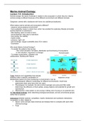 Summary Lectures Marine Animal Ecology MAE-30306