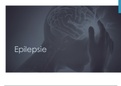 PowerPoint over Epilepsie 