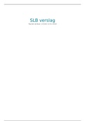 SLB verslag periode 2 (Mariken van Himbergen)