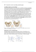 HC. 5 Anatomie van het vrouwelijke geslachtsorgaan