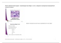 BB Aantekeningen hoorcolleges 7-8, 12 (Algemeen reactiepatroon hematopoïetisch systeem & Leukose)