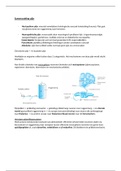 Samenvatting farmacologie&colon; pijn en pijnbestrijding