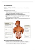 Samenvatting anatomie, fysiologie en pathologie van het spijsverteringskanaal