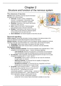 Hoofdstuk 2-6, 12 Brein & Cognitieve Psychologie