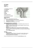 Hoorcolleges dysfagie periode 1&period;4 neurologie