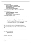 LEG2601 Exam Summary Notes