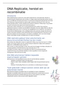 7. DNA Replicatie