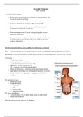 Menselijke fysiologie - gastrointestinaal systeem