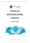Apuntes Derecho Internacional Público UGR