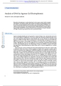 Analysis of DNA by Agarose Gel Electrophoresis