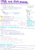 Biology Topic 2
