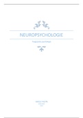 Samenvatting Neuropsychologie (2018/2019) Vives Kortrijk 