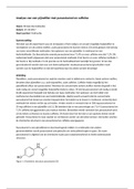 Meetrapport: Analyse van een pijnstiller met paracetamol en caffeïne