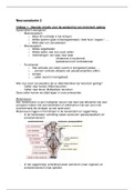 Samenvattingen neuroanatomie 1 en 2
