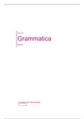 Spanish Language & Culture Grammatica