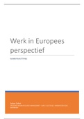 Samenvatting Werk in Europees perspectief - Jaar 2: 2017/2018