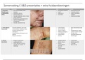Meer dan 50 huidaandoeningen Testvision D2 (inclusief alle C-S&D foto's) 