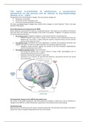 (Extensive) summary of all articles for The Adolescent Brain
