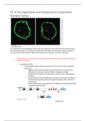 Ch.6 The organization and Expression of Lymphocyte Receptor Genes