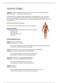Anatomie A aantekeningen colleges + oefeningen
