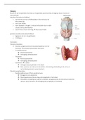 anatomie fysiologie- glandula-hals-larynx-bekken-uterus-oor-oog-wervels-ruggenmerg 