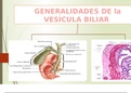 Anatomía de la vesícula biliar.