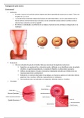 Patologias del cuello uterino