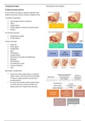 urologia ginecologica