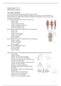TLP 4: Anatomie orthopedie