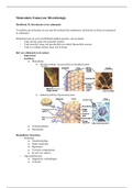 Moleculaire Eukaryote Microbiologie 