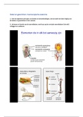 Samenvatting Levensloop Skelet en gewrichten macroscopische anatomie