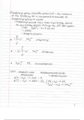 Biochemistry 2 Lecture Notes 