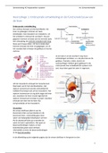Hepatobiliair systeem hoorcolleges 1-5