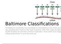 Baltimore Classifications