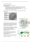 Samenvatting hoofdstuk 14: mitochondriën en ademhalingsketen